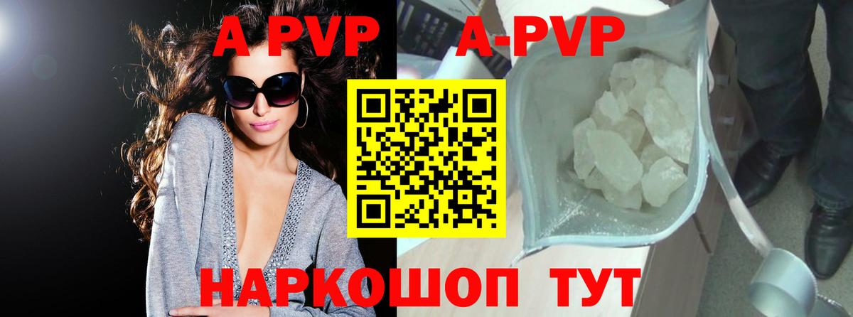A PVP СК КРИС Мценск