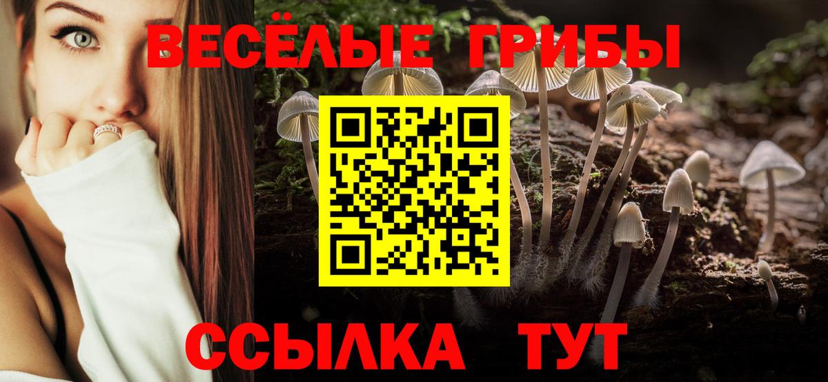 Псилоцибиновые грибы ЛСД Мценск