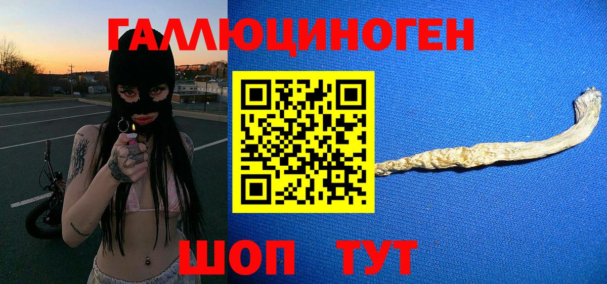 Мценск  Псилоцибиновые грибы Psilocybine cubensis  Вход с VPN 
